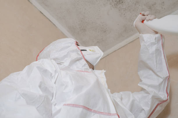 Best Health and Safety Mold Remediation in New Rockford, ND